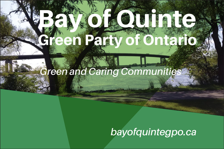 Logo for the Bay of Quinte Green Party of Ontario